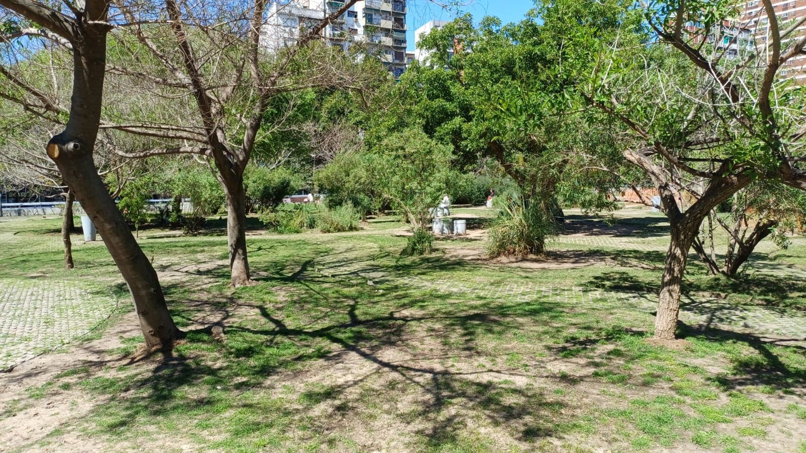 Plaza Manzana 66