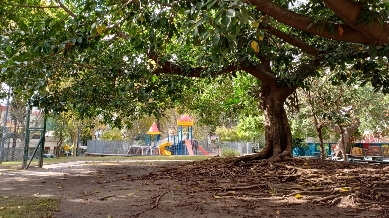 Plaza José María Velazco Ibarra