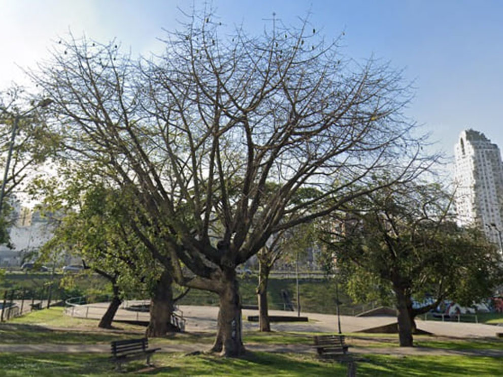 Plaza Gumersindo González