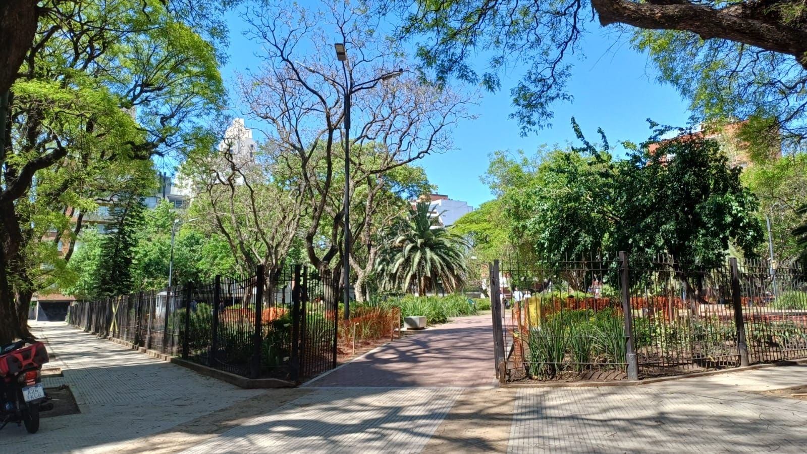 Imagen de galería 1