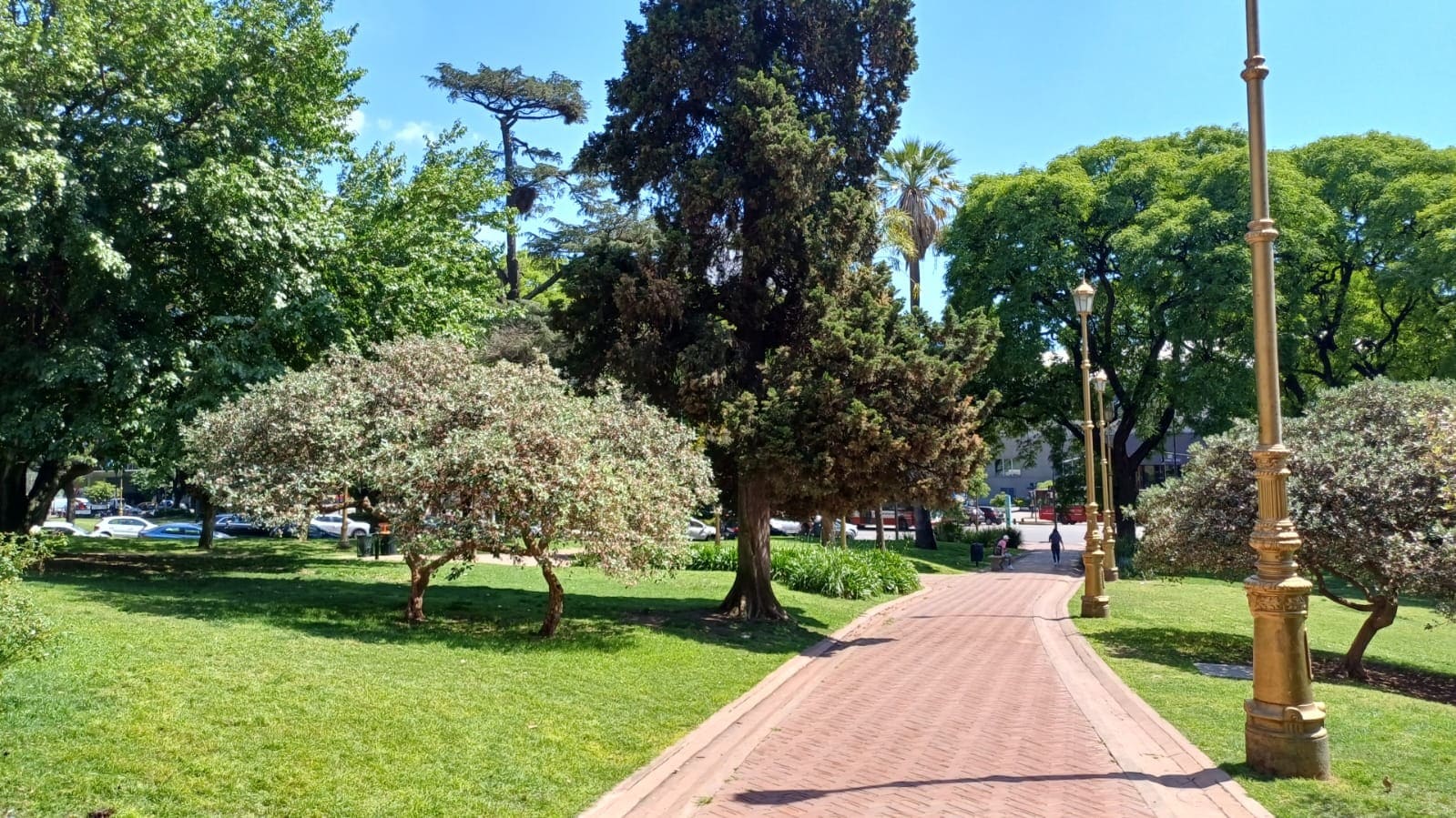 Imagen de galería 1