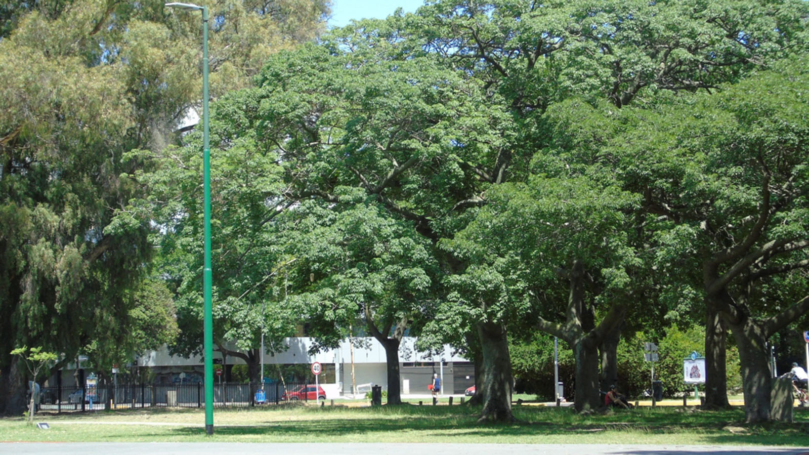 Parque Paseo de las Américas