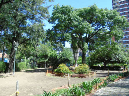 Plaza de los Olmos