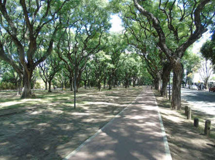 Plaza Ing. Félix Aguilar