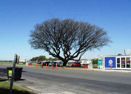 Plazoleta Comodoro Pedro Zanni