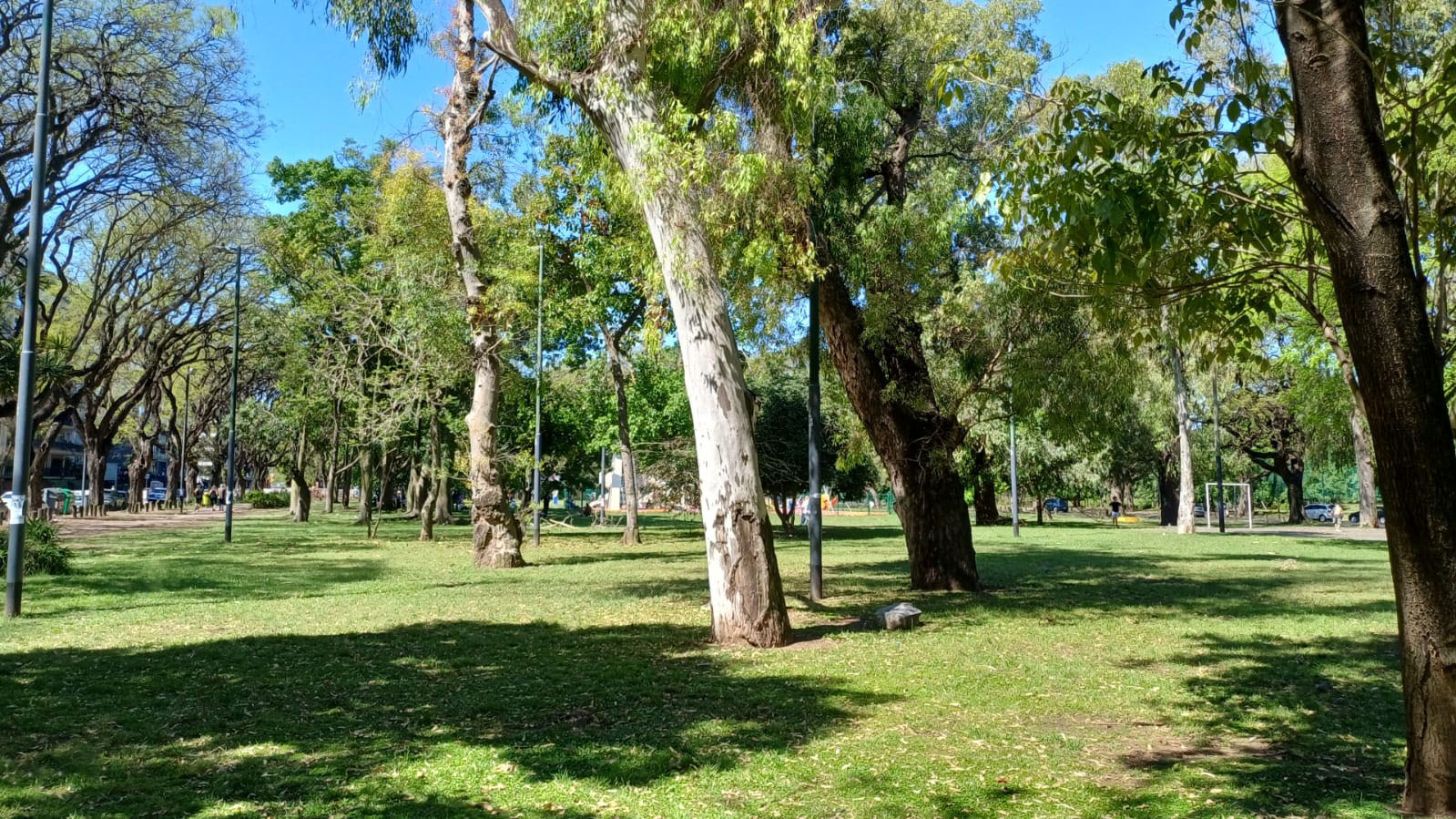 Plaza Federación de Rusia