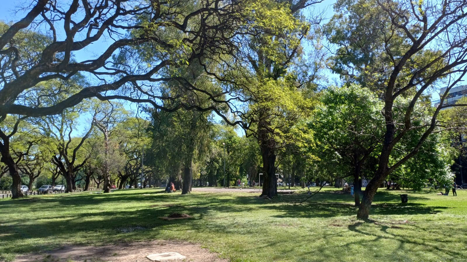 Plaza Federación de Rusia