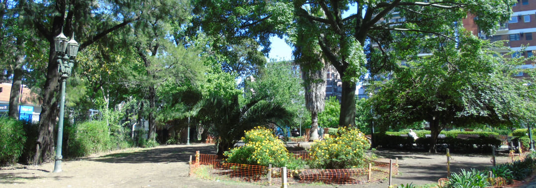 Plaza de los Olmos