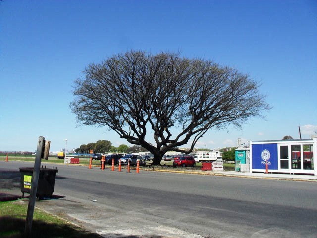 Plazoleta Comodoro Pedro Zanni