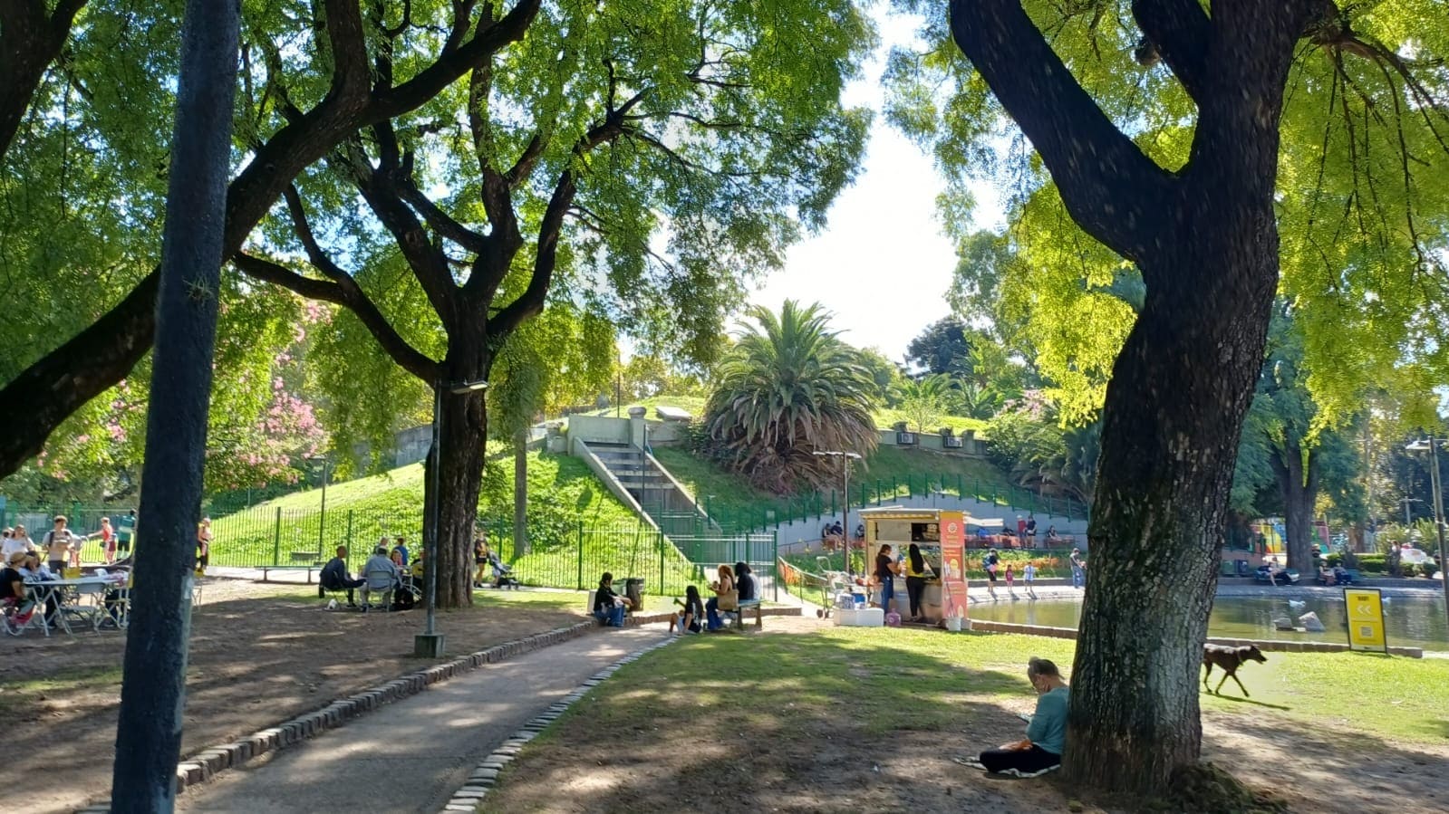 Imagen de galería 1