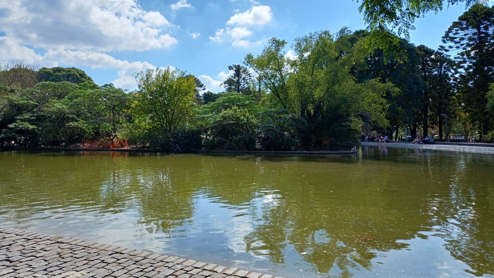 Imagen de galería 1