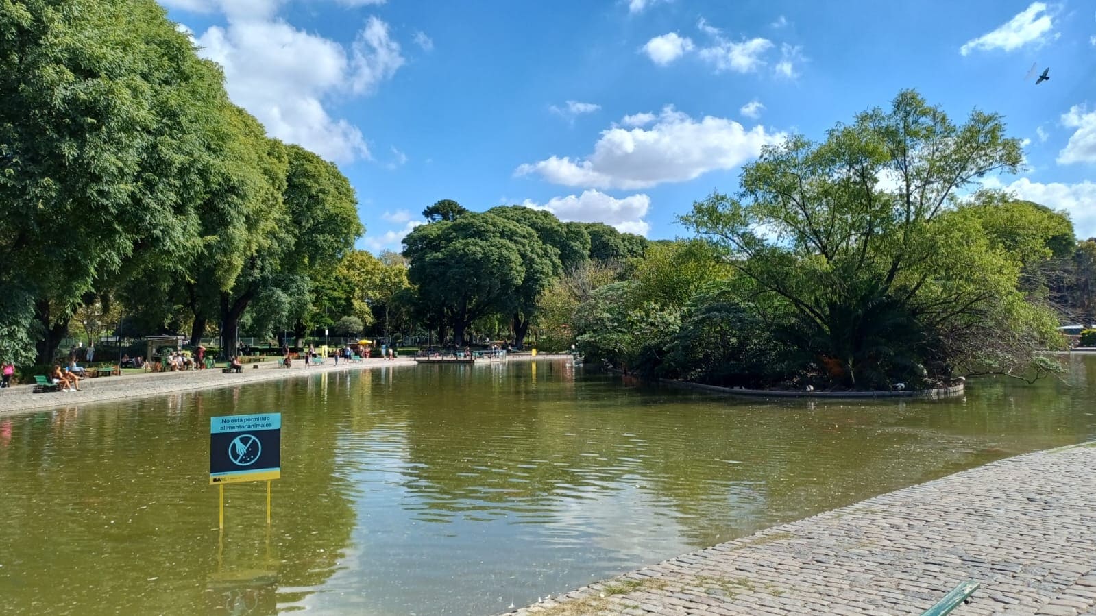 Imagen de galería 1