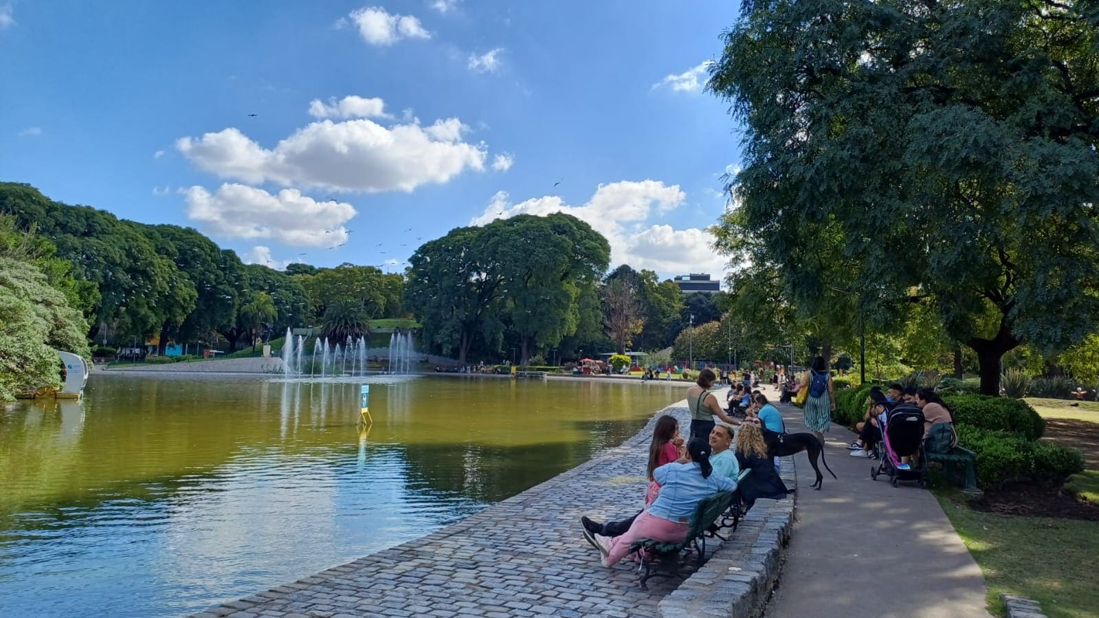 Imagen de galería 1