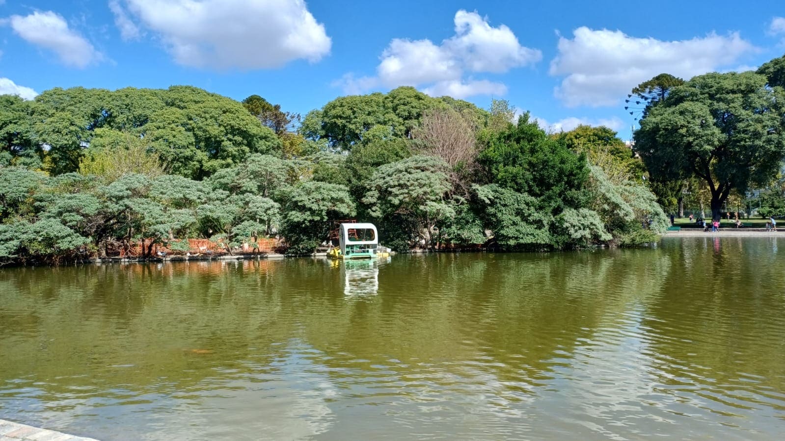 Imagen de galería 1