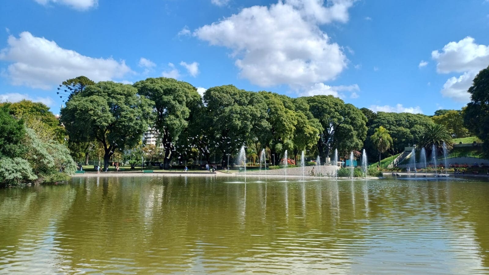 Imagen de galería 1