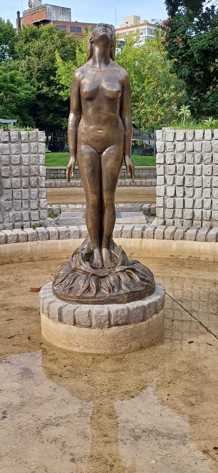 Flor de Irupé