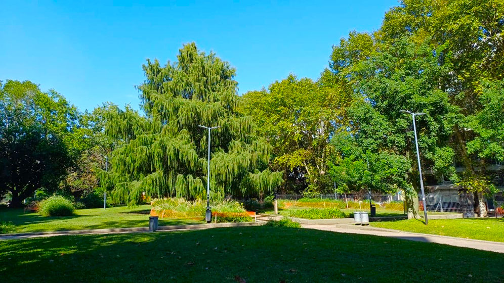 Plaza Giordano Bruno