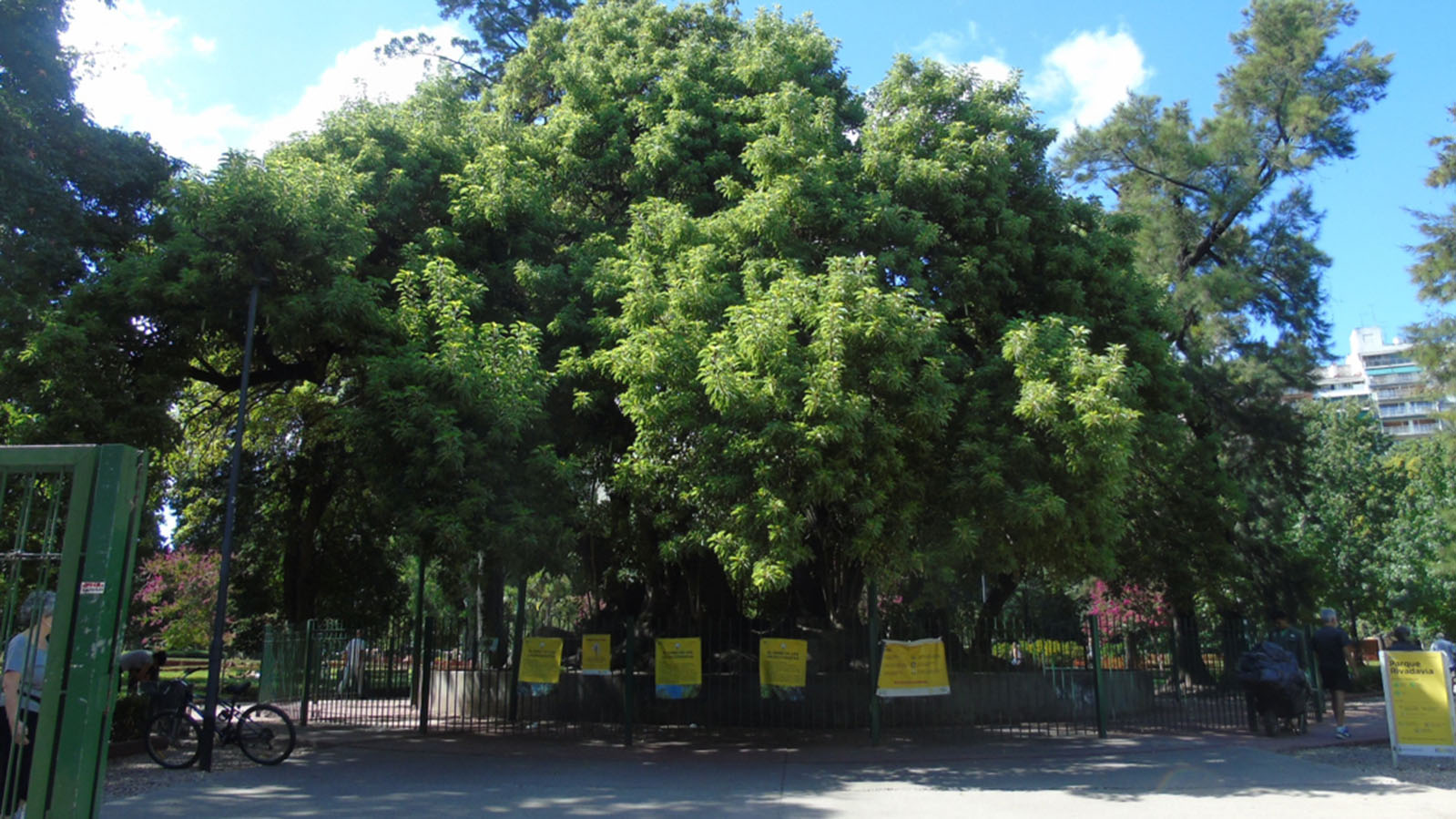 Parque Rivadavia