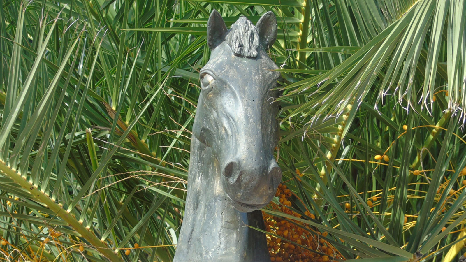 Parque Rivadavia
