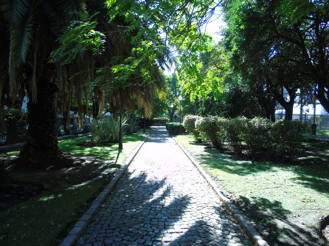 Paseo de la Vida: Dr. René Favaloro