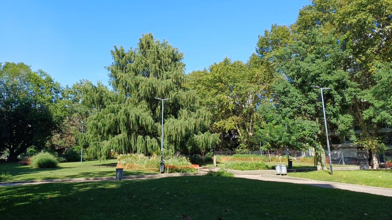 Plaza Giordano Bruno