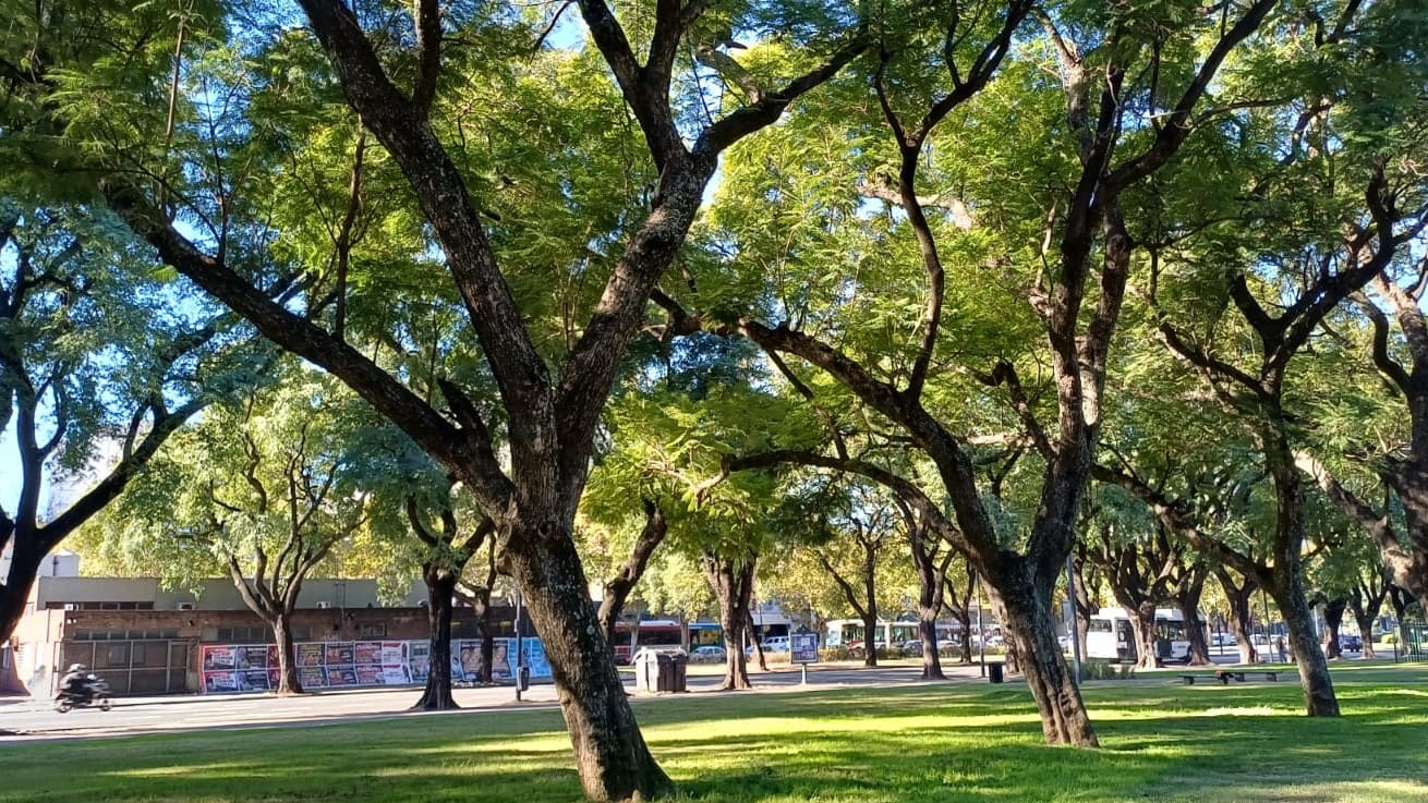 Imagen de galería 1