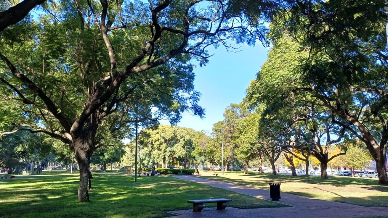 Imagen de galería 1