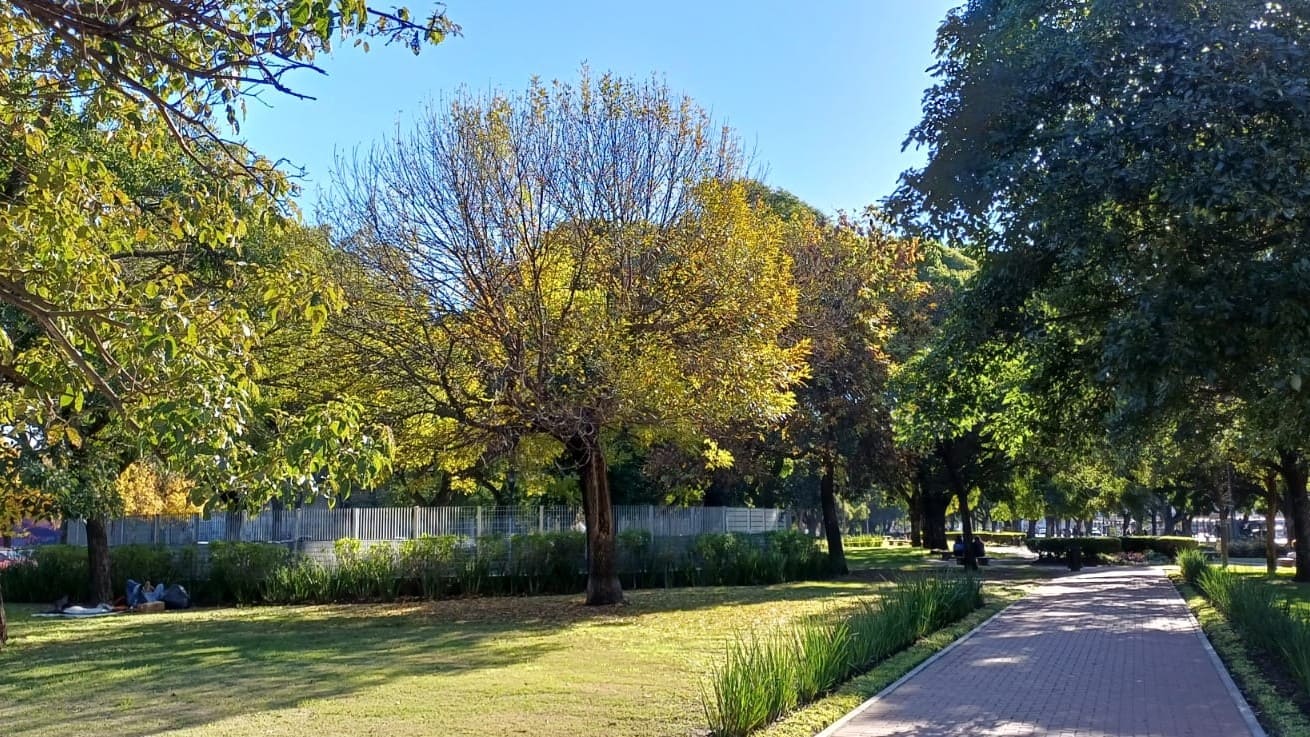 Imagen de galería 1