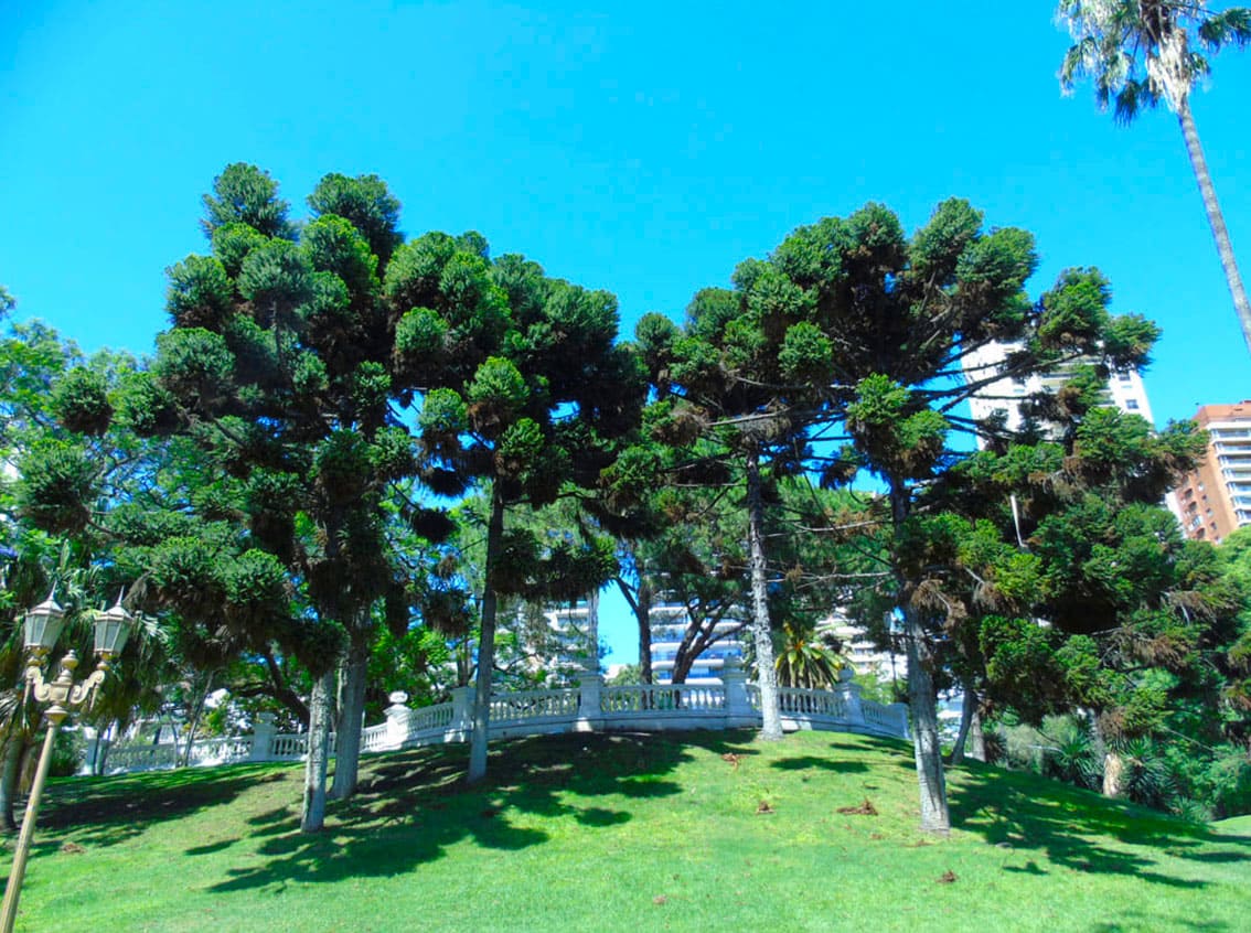 Balaustrada