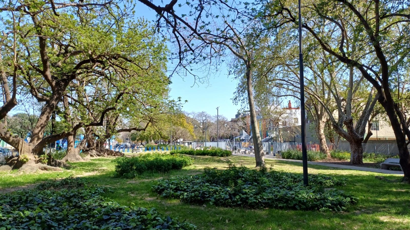 Plaza de los Colegiales