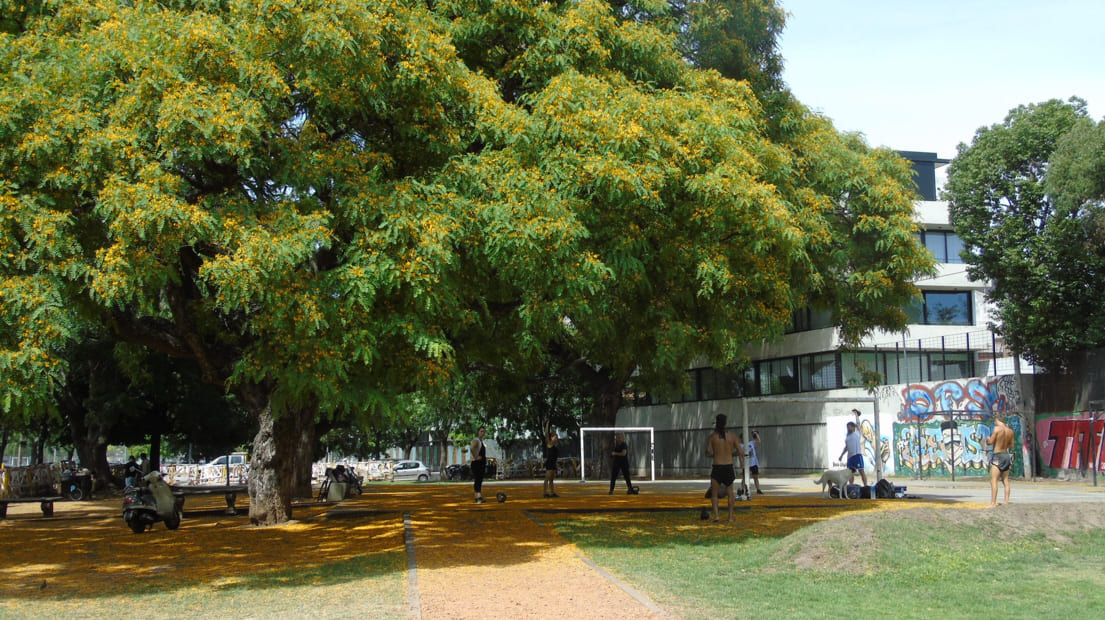 Plaza de los Colegiales