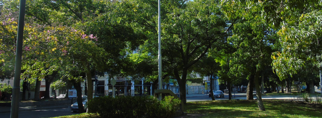 Plaza Concepción del Alto de San Pedro