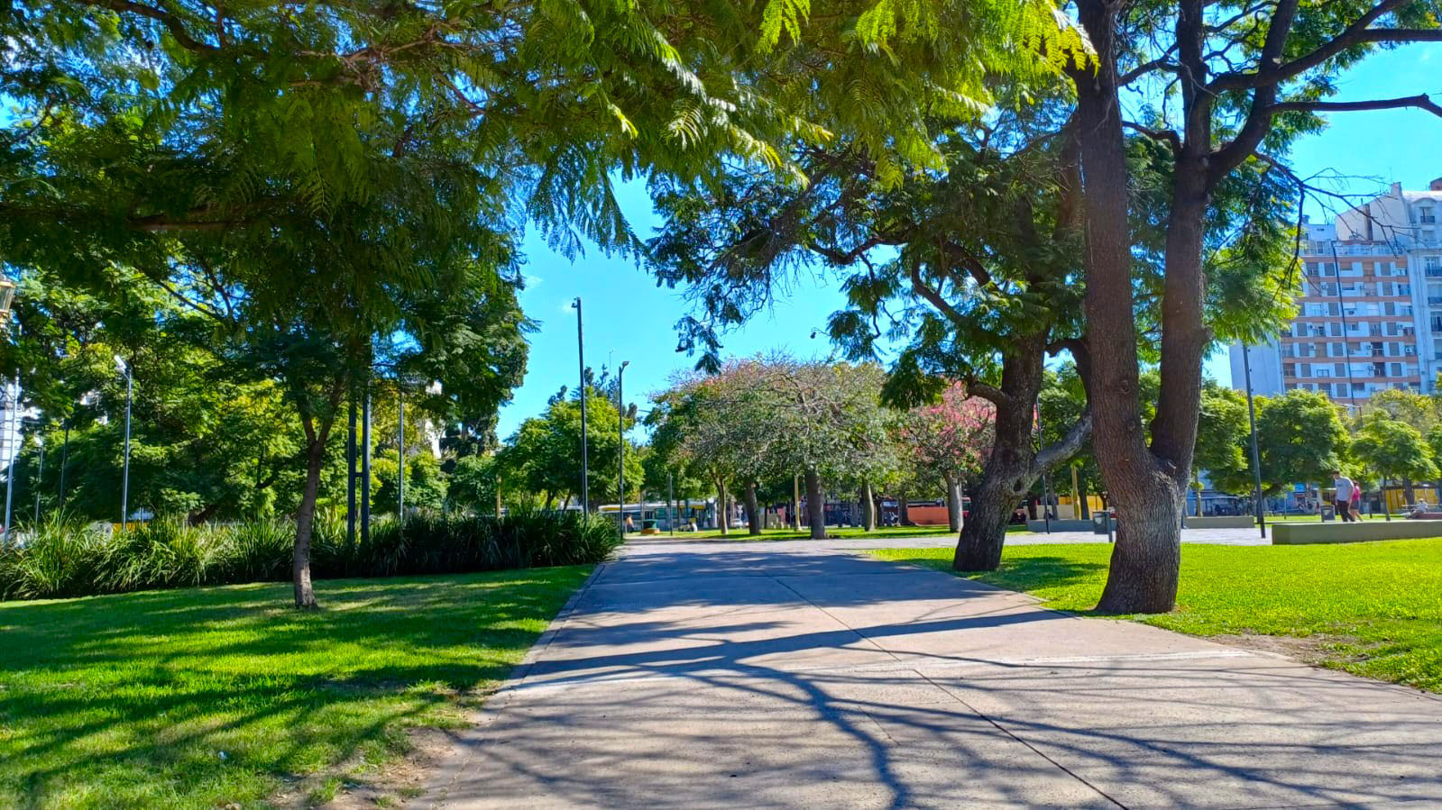 Imagen de galería 1