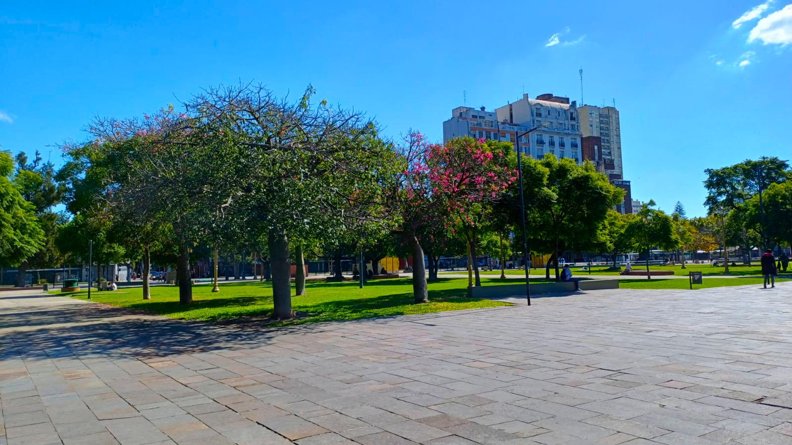 Imagen de galería 1