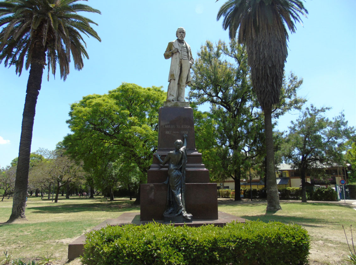 Carlos Tejedor y la Historia
