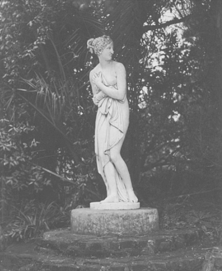 Soprendida (Baja)