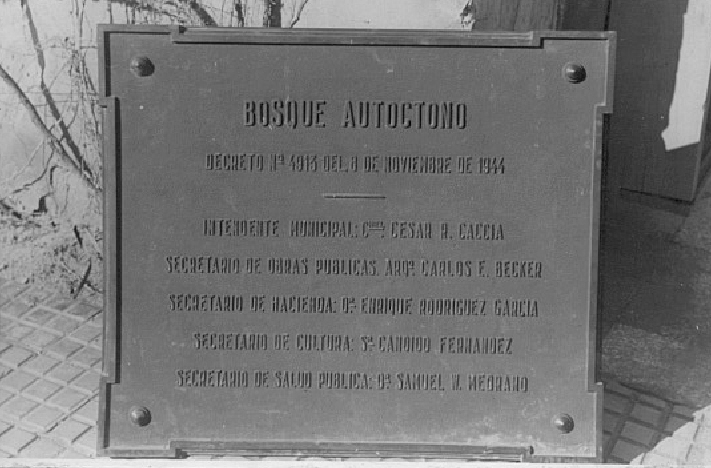 Homenaje al Bosque Autóctono