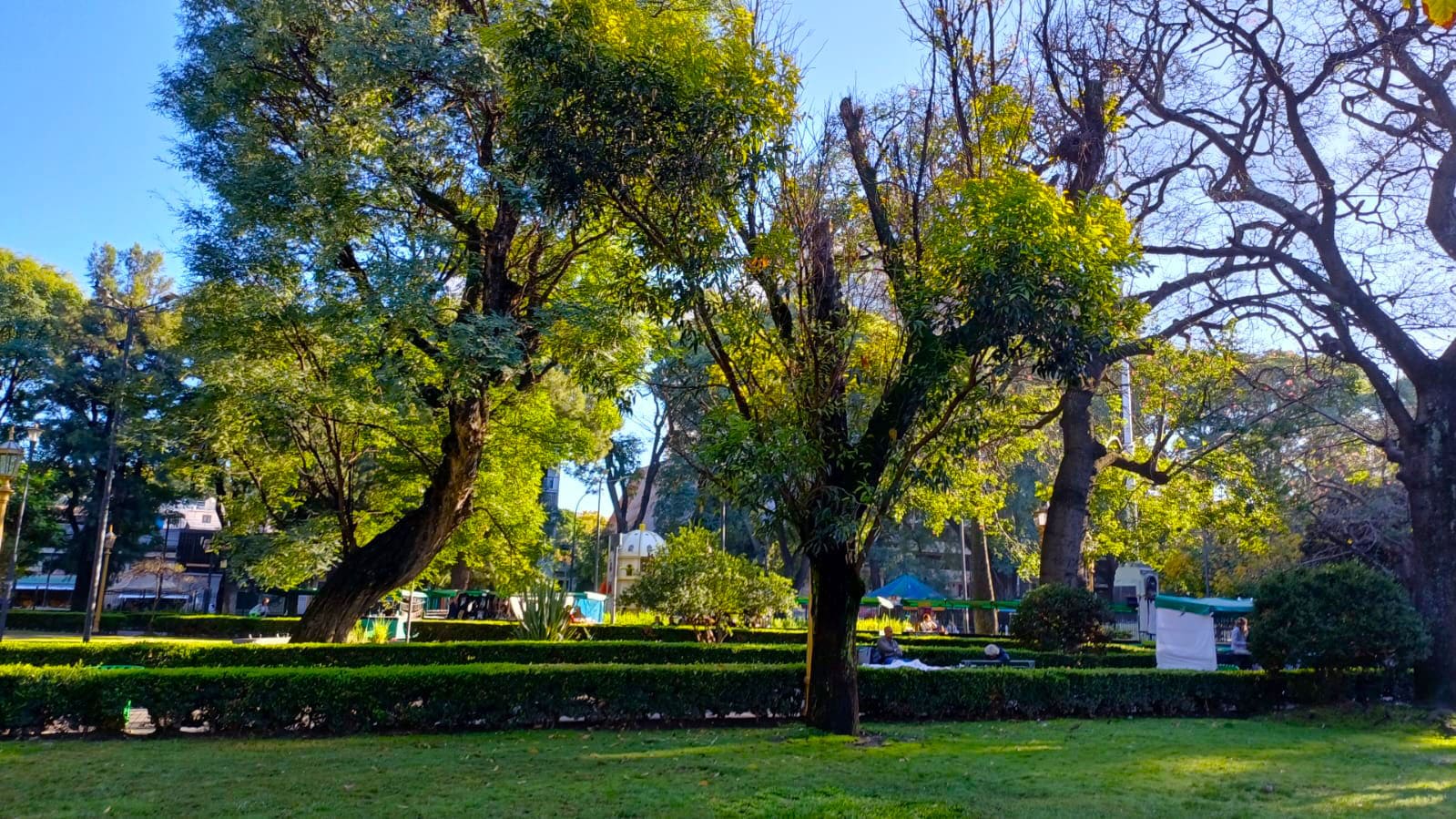 Imagen de galería 1