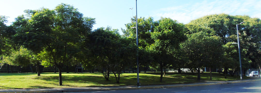 Plaza de los Virreyes