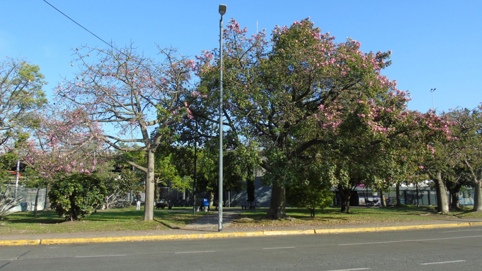 Plaza de los Virreyes