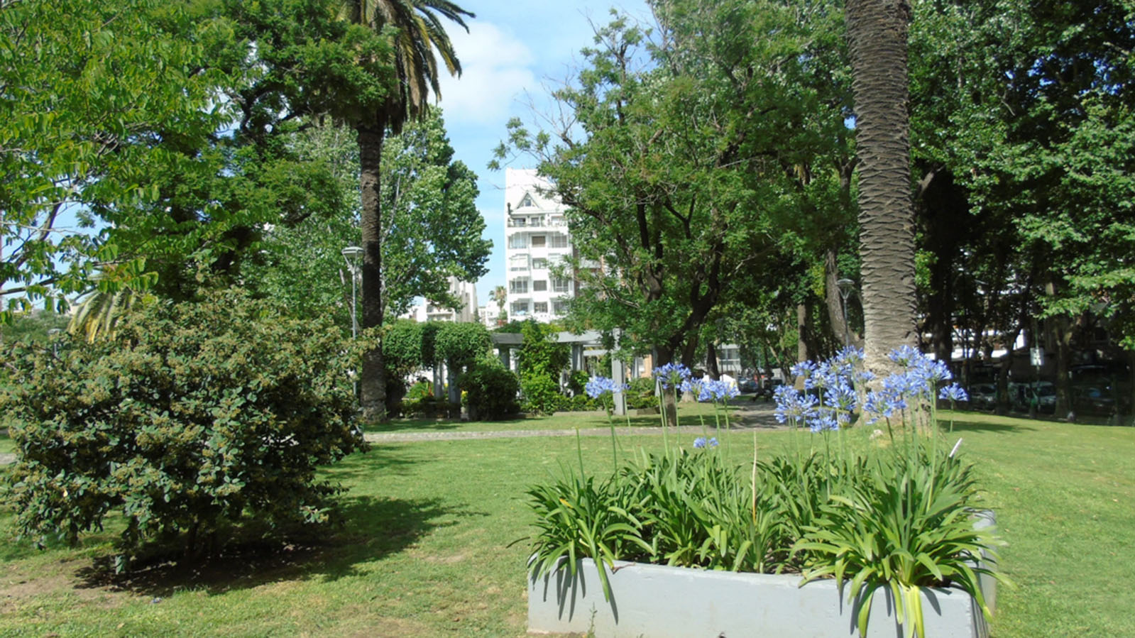 Plaza del Angel Gris