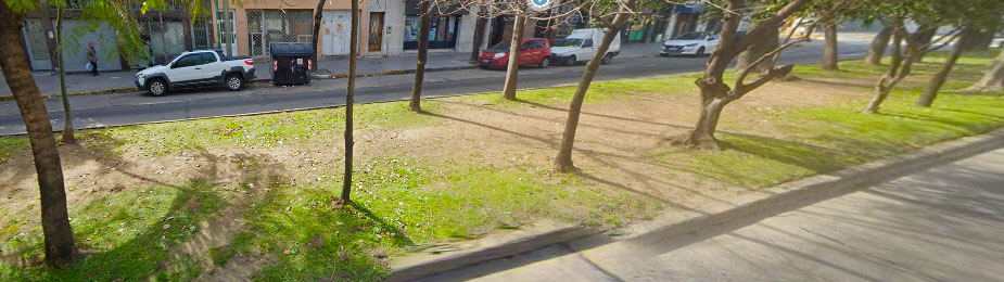Descripción de la imagen