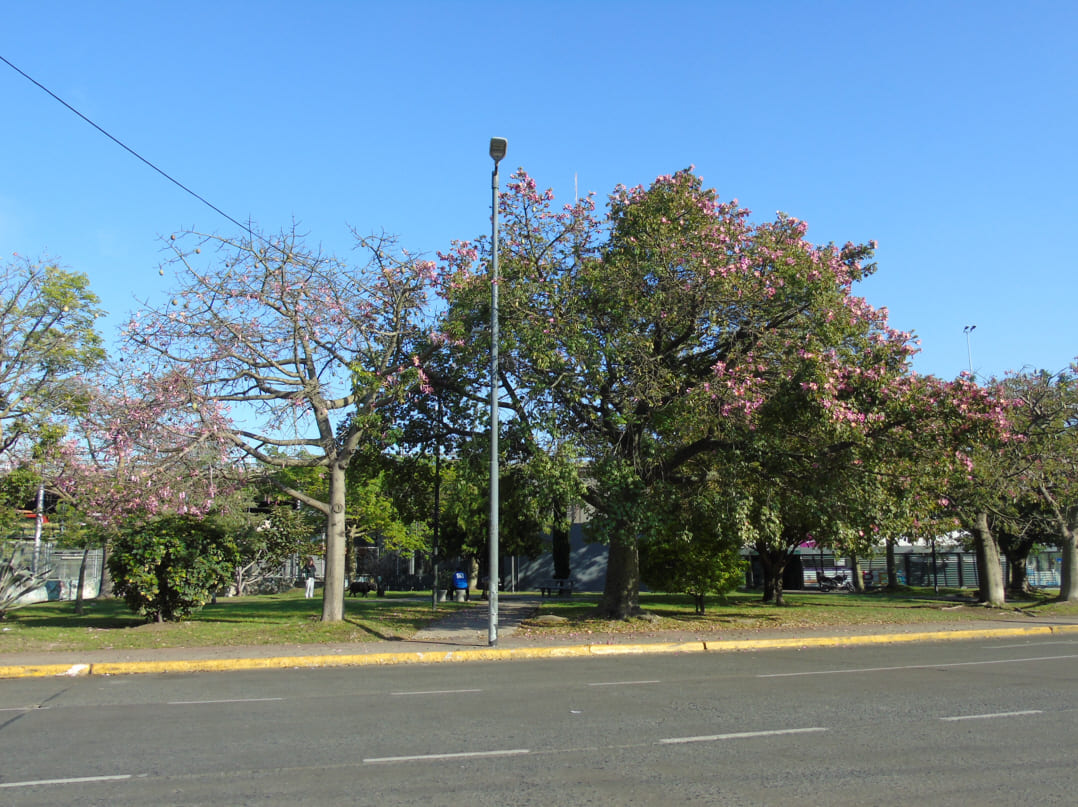 Plaza de los Virreyes