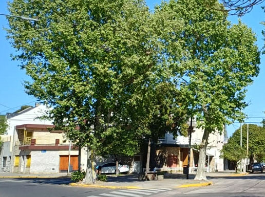 Plazoleta Tomás Di Taranto