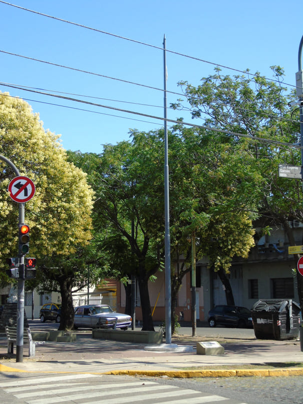 Homenaje a la Bandera