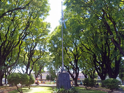 Homenaje a la Bandera