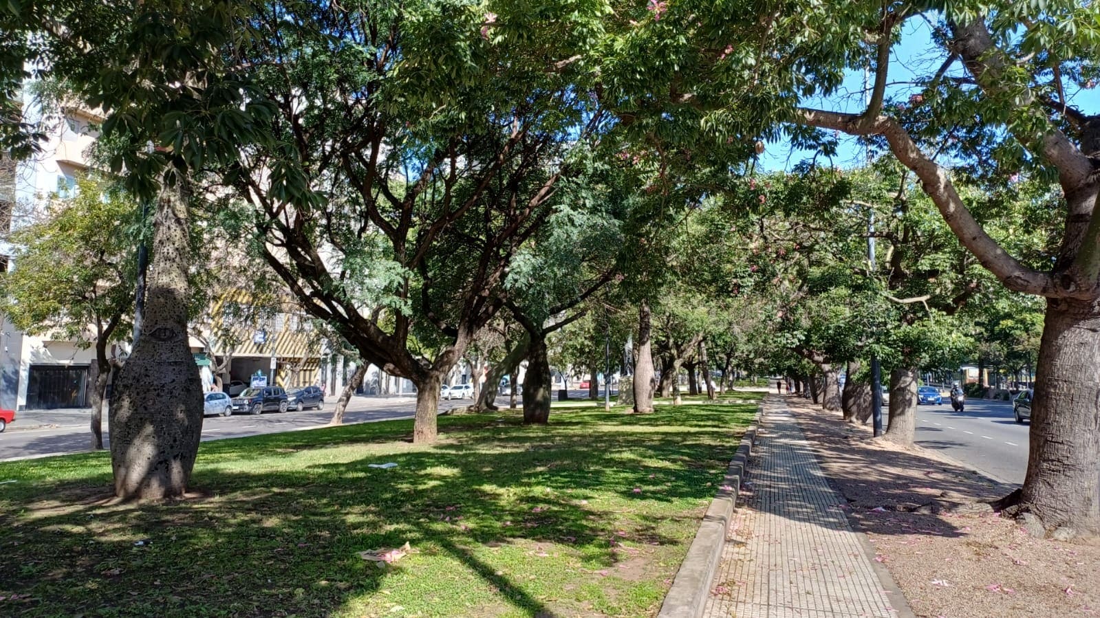 Imagen de galería 1