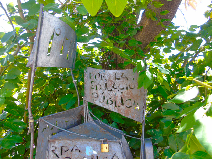 Árbol de la Carpa Azul 3