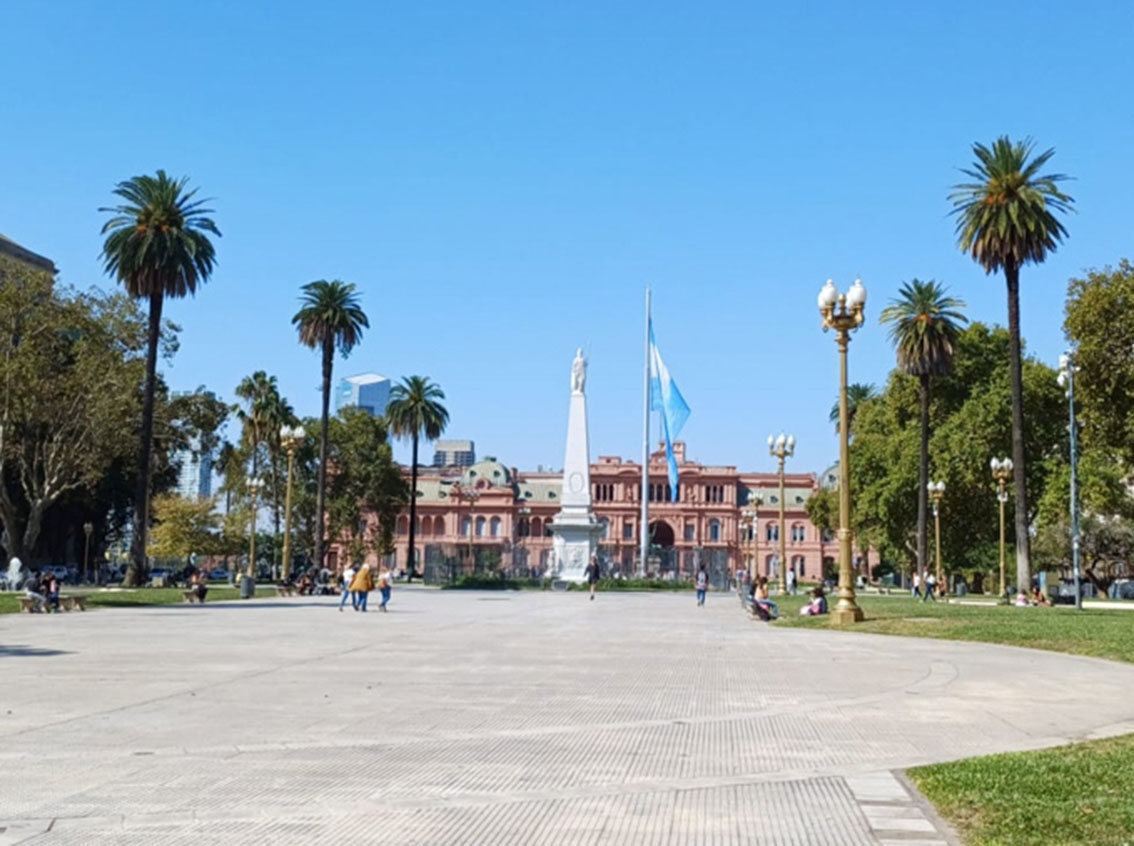 Palmeras de la Plaza de Mayo