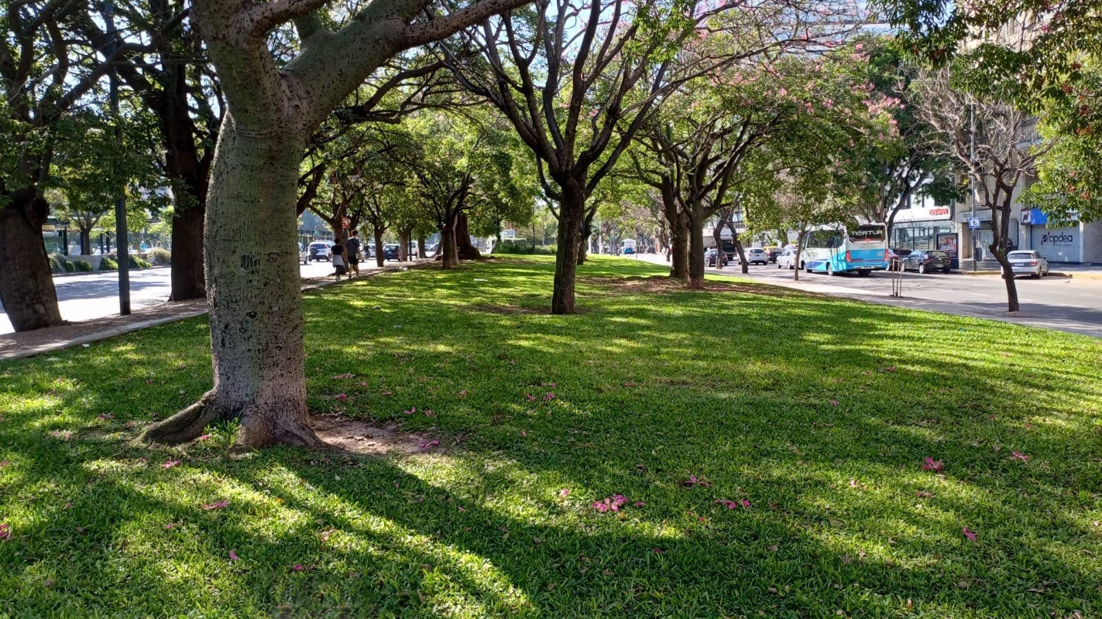 Cantero Central Provincia de Entre Ríos